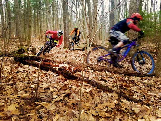 Bavington mountain bike online trails